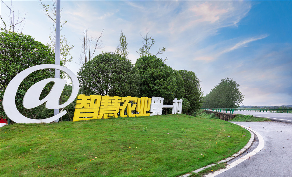 智慧農業(yè)第一村